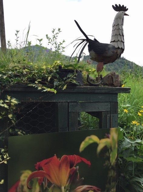 Jardin de Cornimont 1